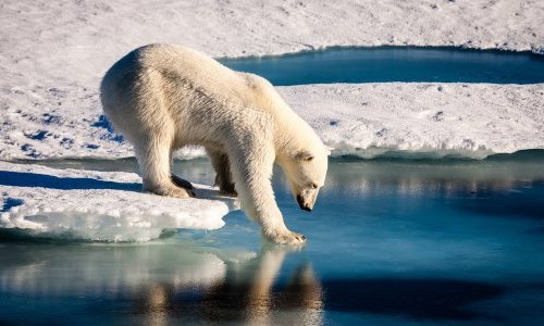 Des pôles aux eaux souterraines, des polluants éternels partout dans la nature