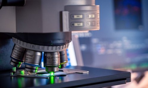 Gattefossé and Ambiotis explore the role of pro-resolving lipids in skin aging