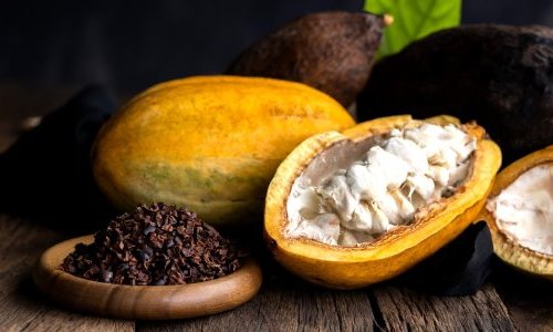 Nutraceuticals: Cocoa takes center stage in Berkem's wellness push
