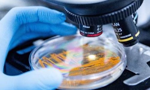 Apoena Biocare showcases exclusive microbial bank at in-cosmetics 2026