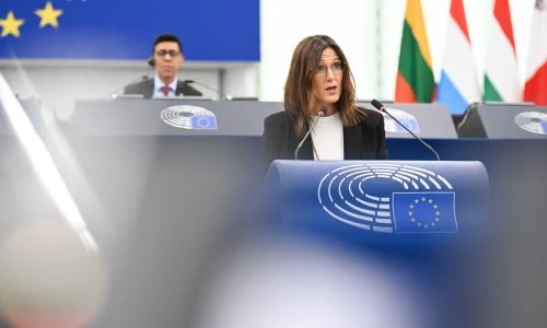 Omnibus VI: What the European Parliament's approval means now