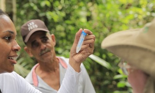 Apoena Biotech explore l'Amazonie en quête de nouveaux actifs biologiques