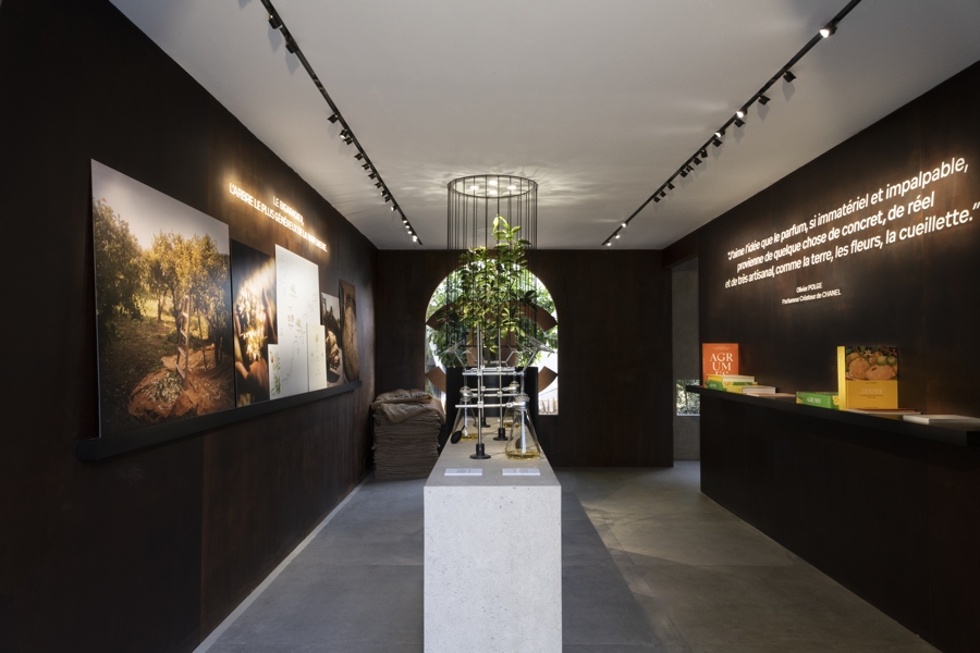 Chanel consacre une expo à la fleur d'oranger à Paris
