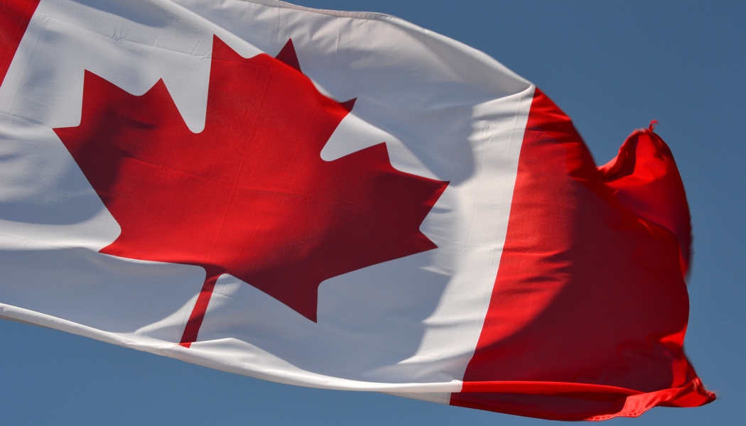 Canada: The canadian agent becomes essential for cosmetic market access