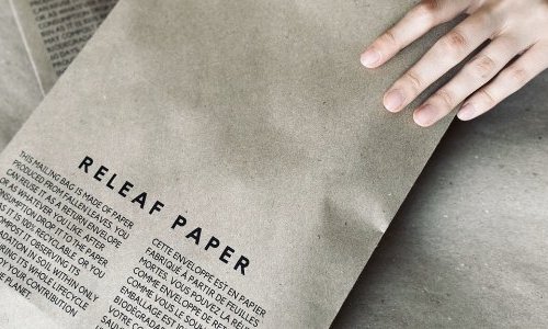 Releaf Paper : Une usine pilote pour faire du papier avec des feuilles mortes