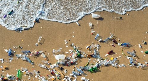 Des océans au corps humain, les microplastiques s'immiscent partout