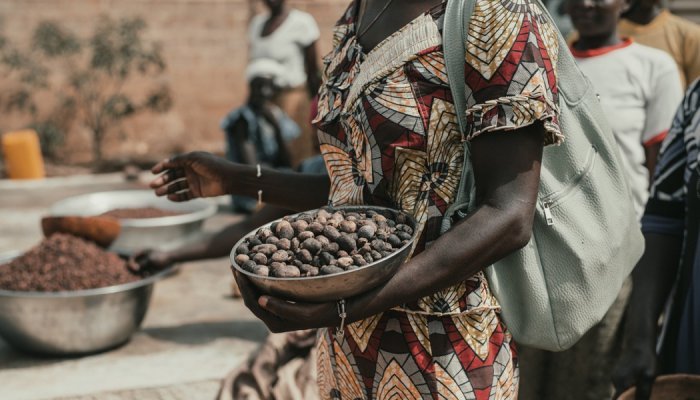 Raw materials: Burkina Faso has suspended all shea exports