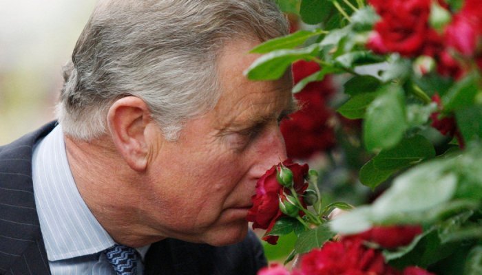 Prince Charles is launching a Highgrove-scented perfume with Penhaligon's