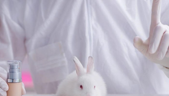 La Colombie interdira les cosmétiques testés sur animaux dès 2024