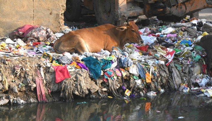 Uncollected waste and open burning are major sources of plastic pollution