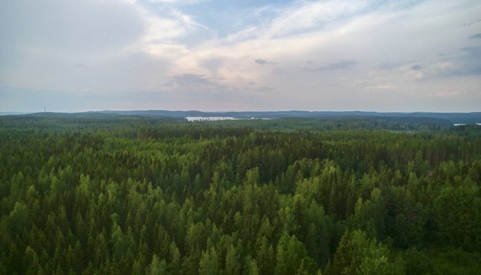 Metsä Board renforce ses objectifs de développement durable pour 2030