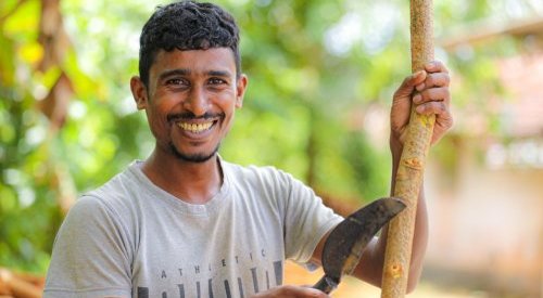 Verger Naturals, un sourcing durable en cannelle et épices du Sri Lanka