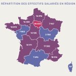 Répartition des emplois de la filière parfums et cosmétiques (Source : Asterès / Cosmetic Valley)