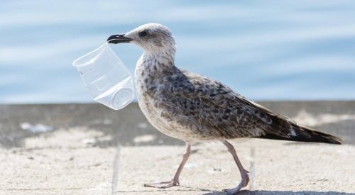 UN says new plastic pollution negotiations scheduled for August in Geneva