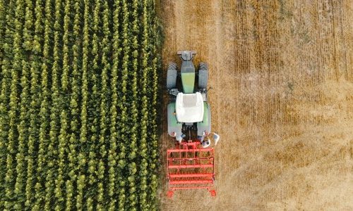 Les microplastiques polluent massivement les sols agricoles français