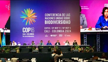 UN summit approves fund to share benefits of nature's sequenced genetic data