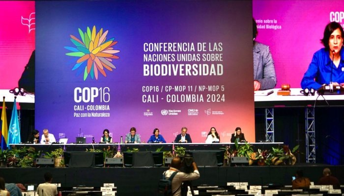 UN summit approves fund to share benefits of nature's sequenced genetic data