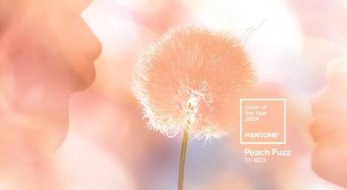 Entre douceur et sensualité, "Peach Fuzz" est la couleur de l'année 2024