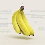 Honorary Mention - Totally Bananas by Max Gubbins