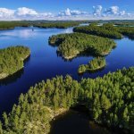 Durabilité : Metsä Board de nouveau certifié niveau Platine par EcoVadis