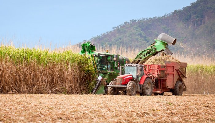 Afyren choisit Mitr Phol pour installer sa technologie bas carbone en Asie