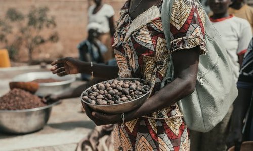 Raw materials: Burkina Faso has suspended all shea exports