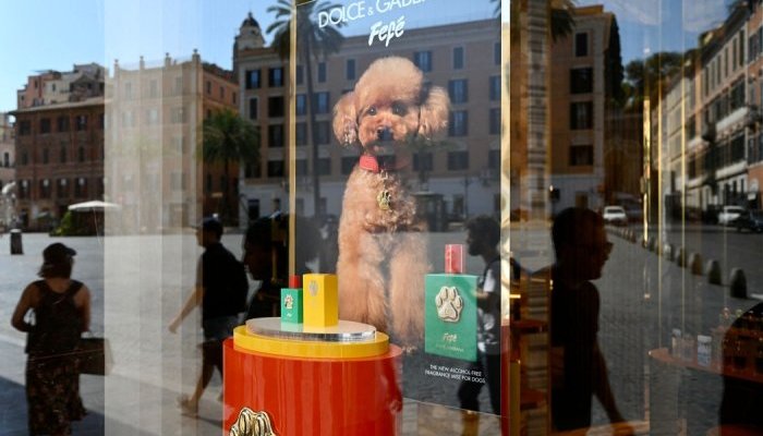 Tout juste lancé, le parfum pour chiens Dolce & Gabbana déjà critiqué