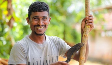 Verger Naturals s'approvisionne durablement en cannelle et épices du Sri Lanka
