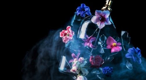 Fragrance Innovation - janvier 2025