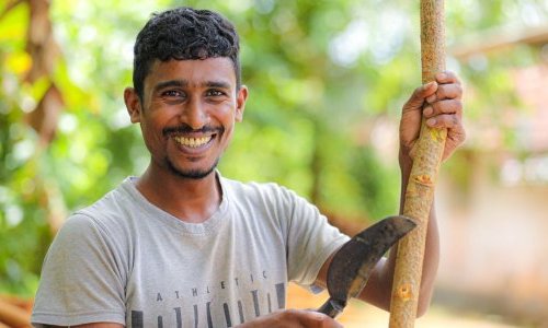 Verger Naturals s'approvisionne durablement en cannelle et épices du Sri Lanka