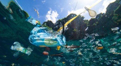 US statewide bans on plastic bags reduced beach pollution: analysis