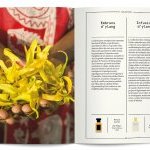 Le mimosa et l'ylang-ylang intègrent la collection des Cahiers des Naturels Nez + LMR
