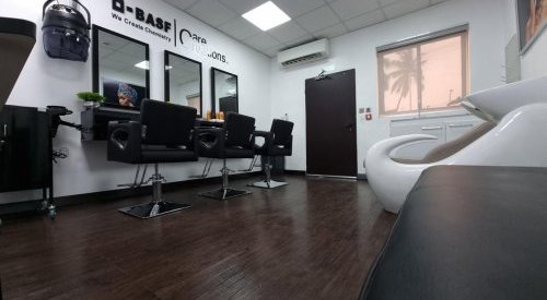 BASF inaugurates “Care Evaluation Salon” for hair and skin care in Nigeria