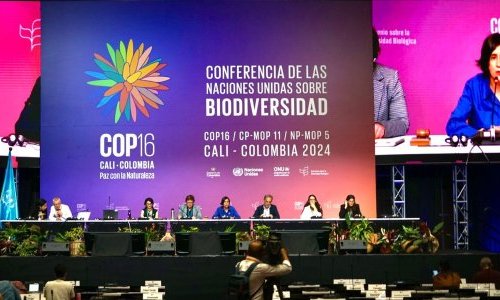 UN summit votes fund to share benefits of nature's sequenced genetic data