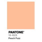 "Peach Fuzz 13-1023" a été choisie comme couleur de l'année 2024 par Pantone.