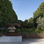 Chanel met la fleur d'oranger l'honneur au jardin des Tuileries à Paris (Photo : © Chanel)