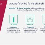 Destiné au soin des peaux enflammées, Phyt'Anim Grains of Paradise s'annonce comme le premier d'une série de nouveautés issue de la nouvelle plateforme d'innovation Etho-Phytology créée par Seqens Cosmetics