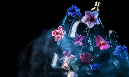 Fragrance Innovation - January 2025