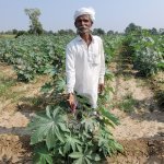 A farmer participating in the Pragati project in his field (Photo: Courtesy of BASF)