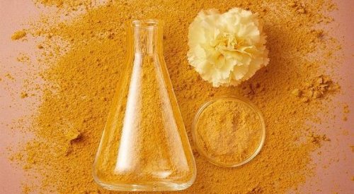 Cosmoprof India s'étend aux ingrédients et fournisseurs cosmétiques avec PCIL