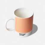 "Peach Fuzz 13-1023" has been chosen as Pantone's color of the year 2024.
